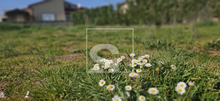 Grundstück zu verkaufen 600 m² – Pula