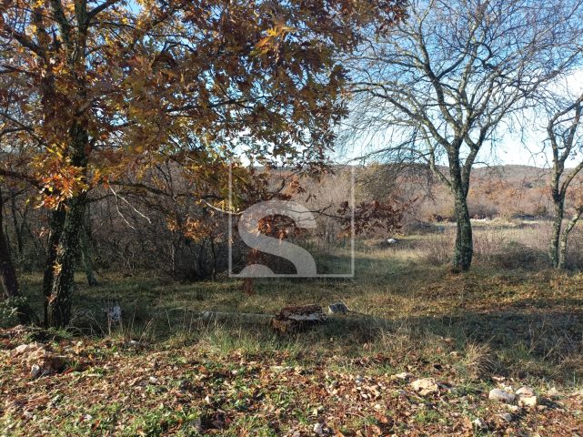 Pozemek na prodej 2403 m² – Bale