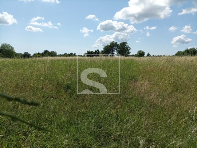 Terrain à vendre 9041 m² – Žminj