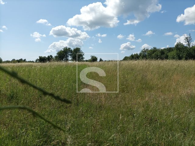 Działka Na sprzedaż - Istarska žminj - foto 4/5