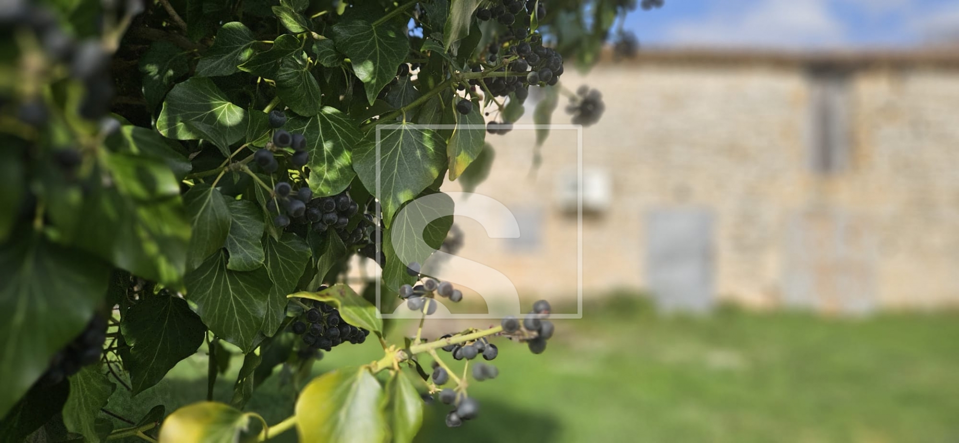 House For sale -  Galižana