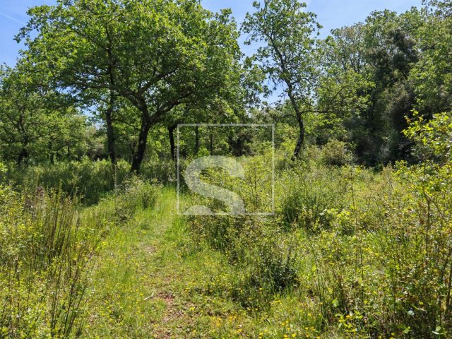 Land for sale 3349 m² – Vodnjan