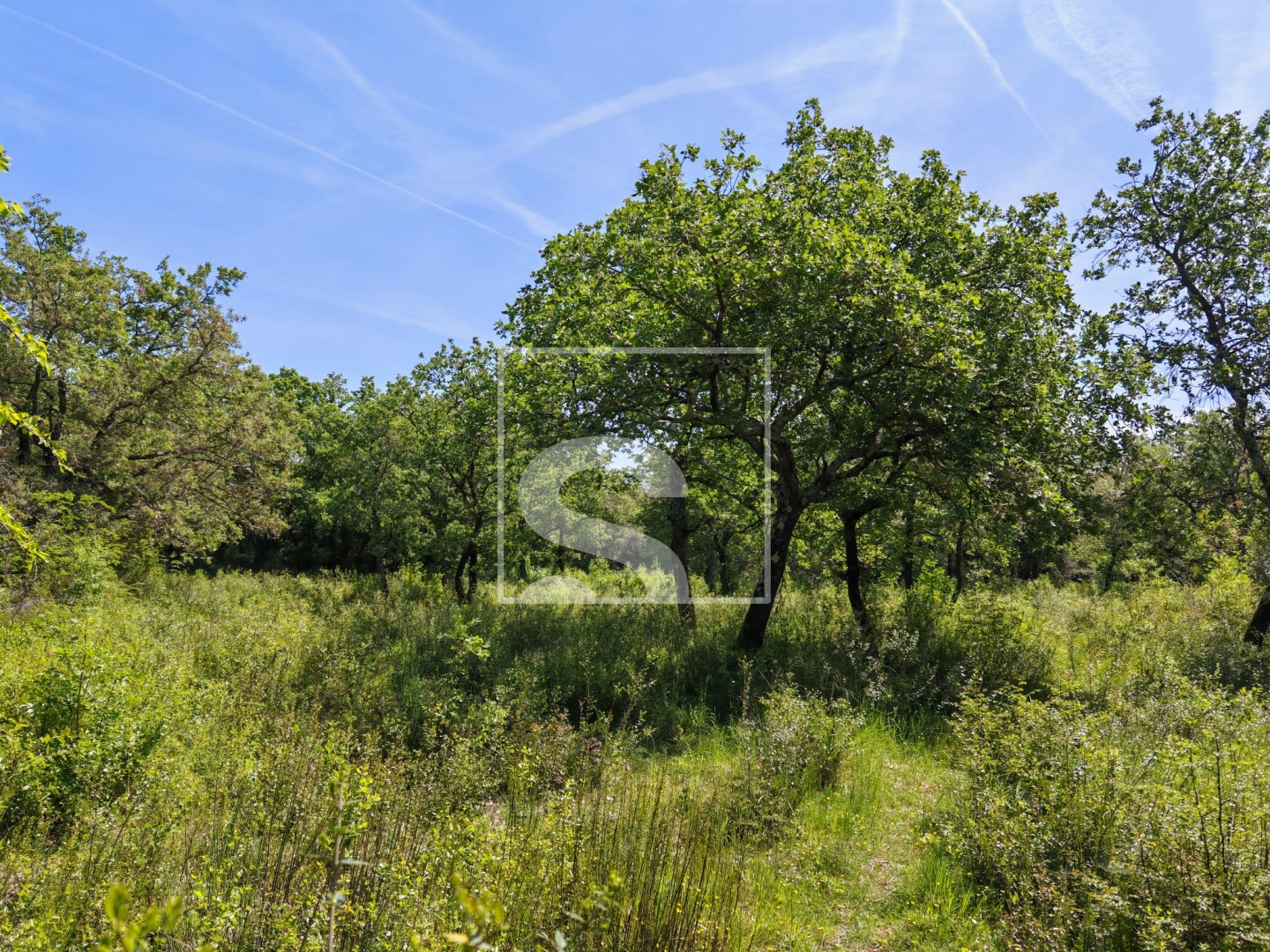 Land For sale -  Peroj