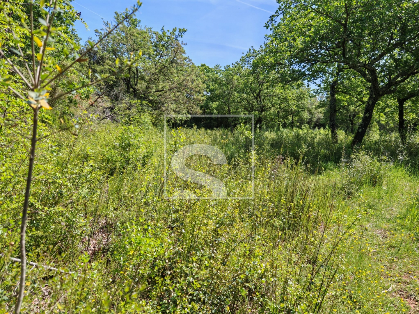Land For sale -  Peroj