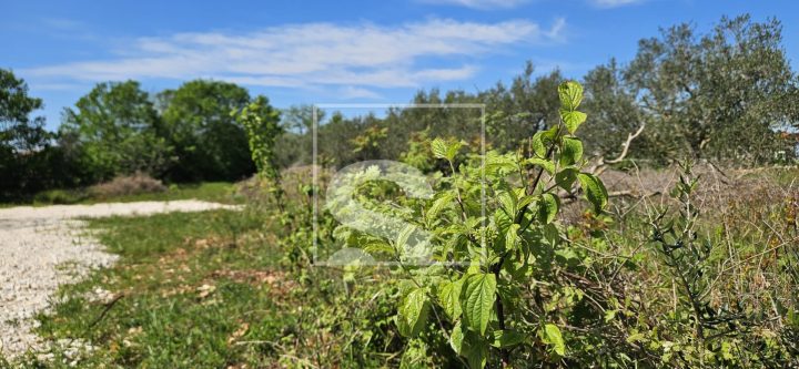 Land for sale 962 m² – Vodnjan