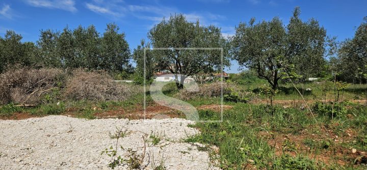 Land for sale 705 m² – Vodnjan
