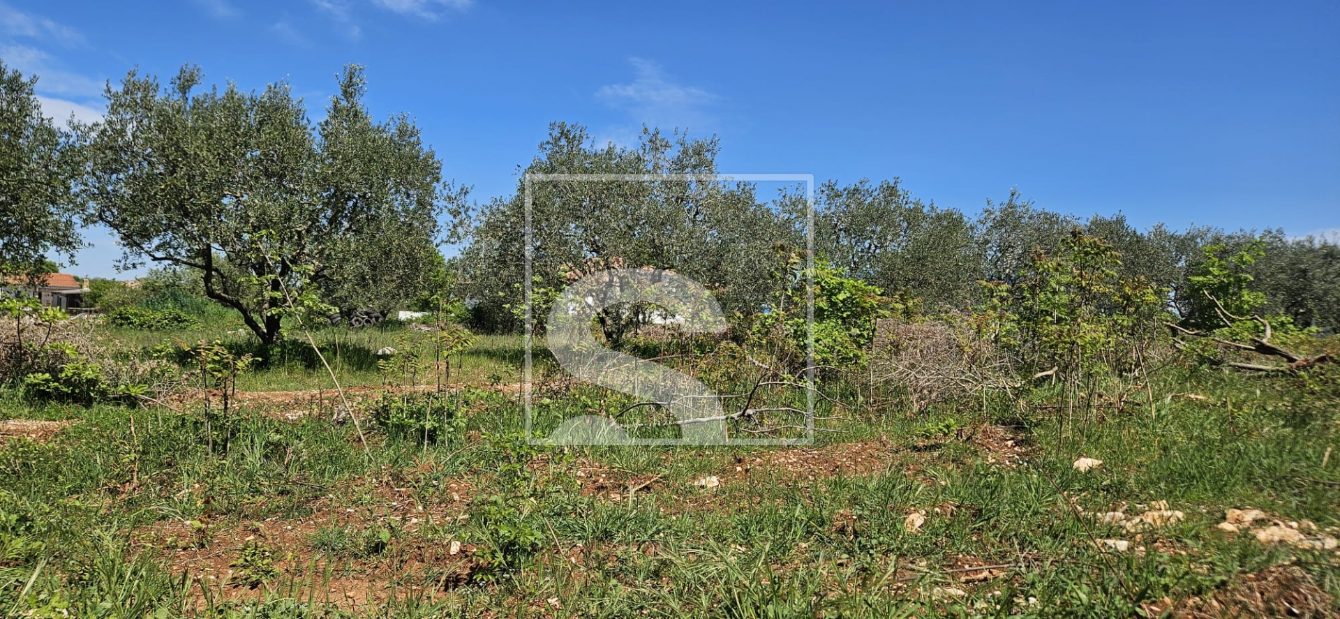 Grundstück Zu verkaufen - Istarska Vodnjan - foto 5/8
