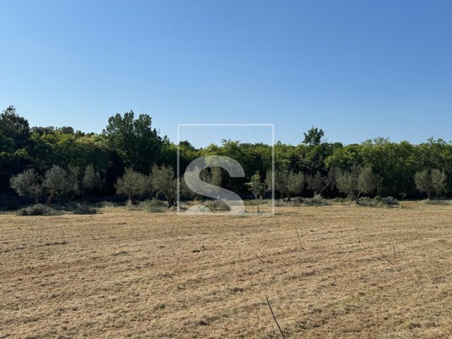 Parcela na predaj 5028 m² – Marčana