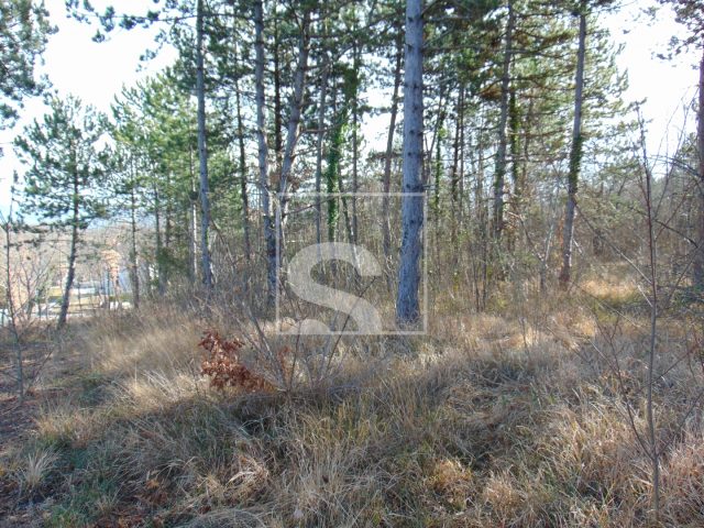 Land for sale 21359 m² – Pićan