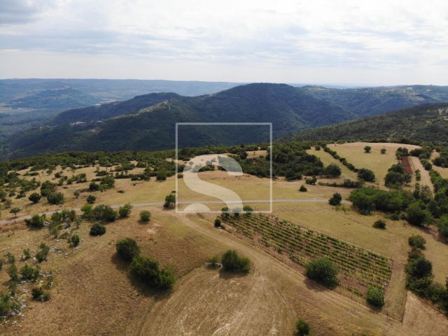 Pozemek na prodej 9481 m² – Oprtalj