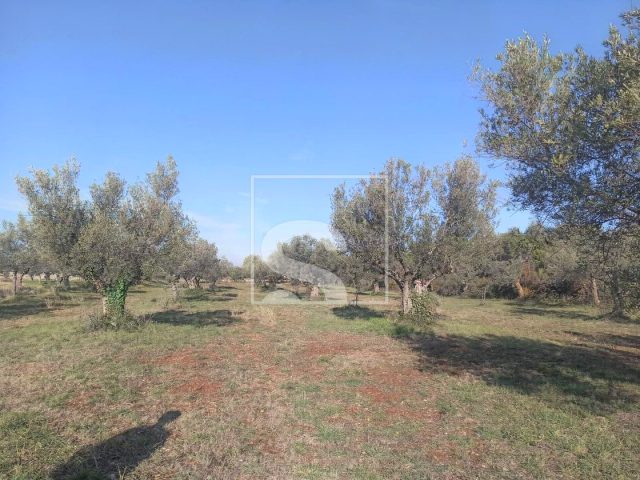 Terrain à vendre 1017 m² – Fažana