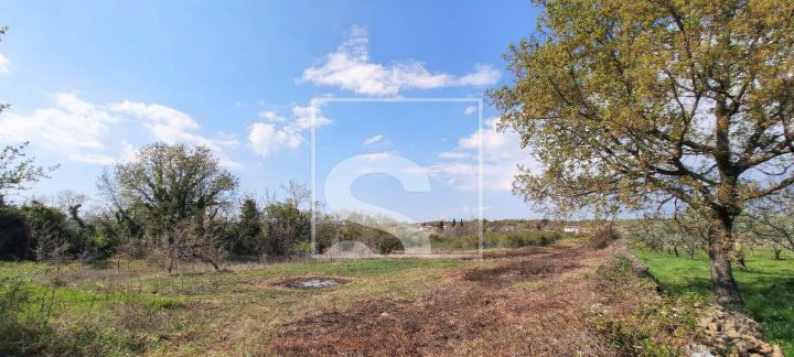 Land for sale 5053 m² – Vodnjan