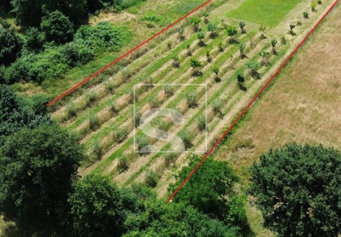 Terreno in vendita 2050 m² – Marčana