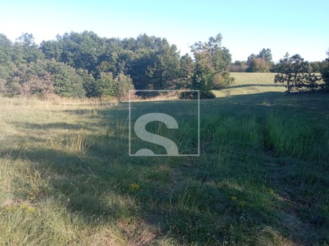 Grundstück zu verkaufen 18486 m² – Žminj