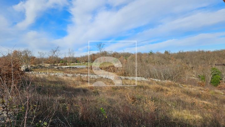 Land for sale 3445 m² – Barban