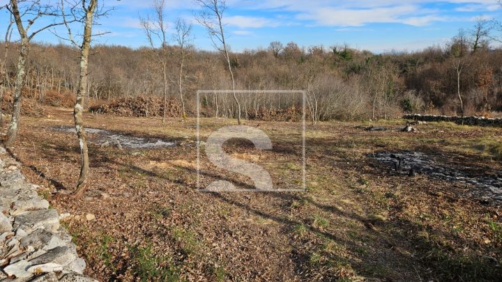 Zemljište Na prodaju - Istarska šajini - foto 2/8