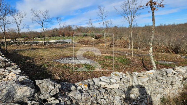 Zemljište Na prodaju - Istarska šajini - foto 3/8