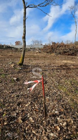 Zemljište Na prodaju - Istarska šajini - foto 4/8