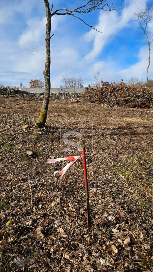 Terrain À vendre -  Šajini