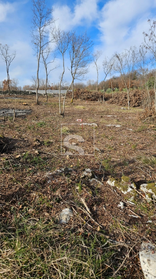 Terrain À vendre -  Šajini