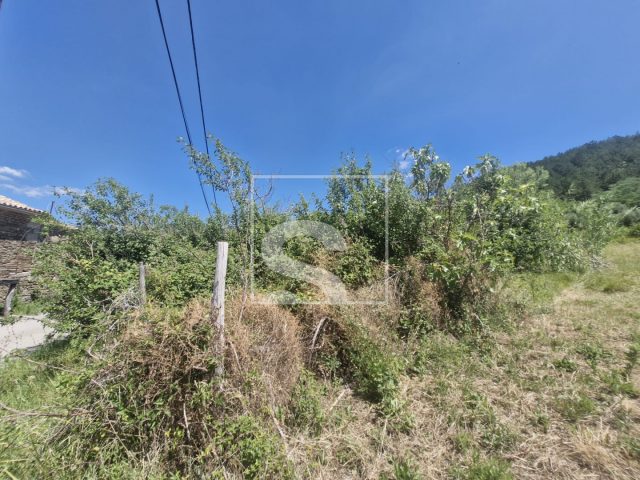 Kuća Na prodaju - Istarska Grimalda - foto 4/4