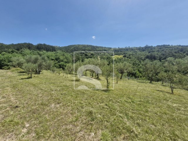 Terrain à vendre 2529 m² – Cerovlje