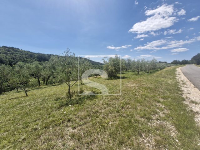 Parcela Naprodaj - Istarska Grimalda - foto 4/4