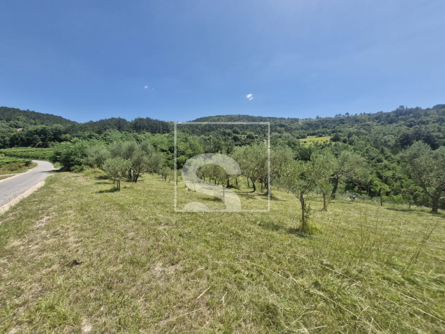 Parcela Na predaj - Istarska Grimalda - foto 3/3