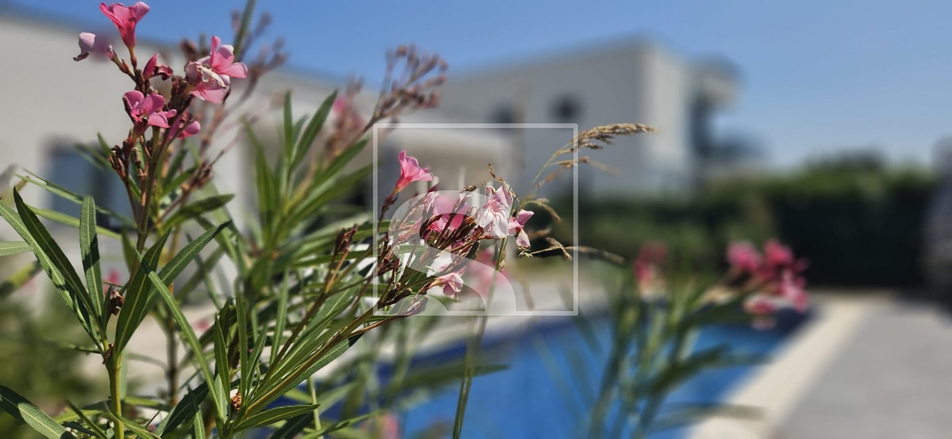 House For sale - Istarska Vodnjan