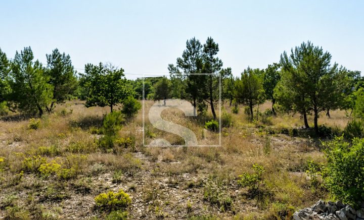 Zemljište na prodaju 1000 m² – Marčana
