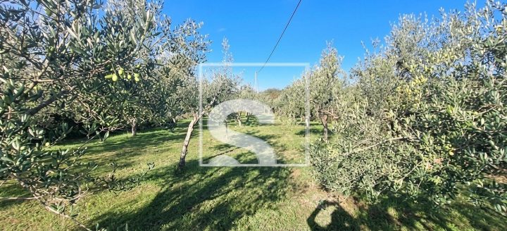 Terrain À vendre - Istarska Oprtalj - foto 2/7
