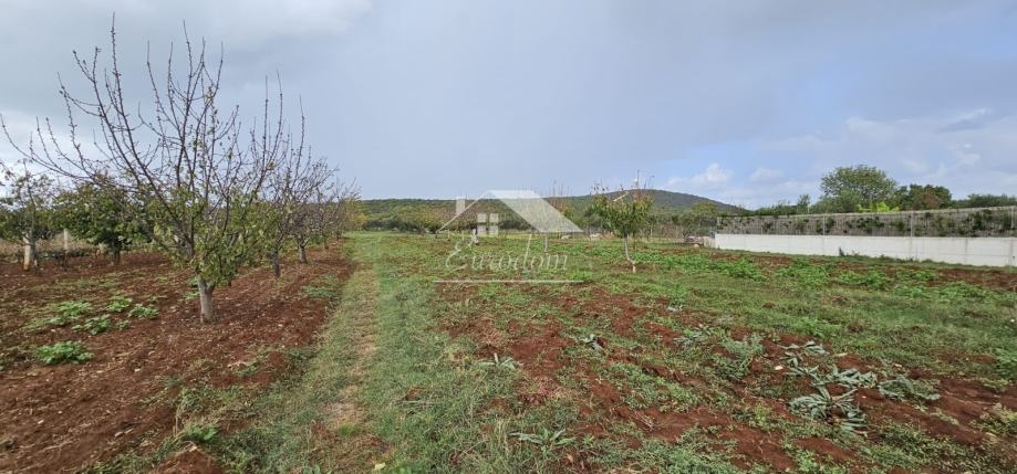 Land For sale -  Debeljak