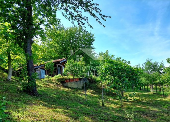 Land For sale — Sveta Nedelja