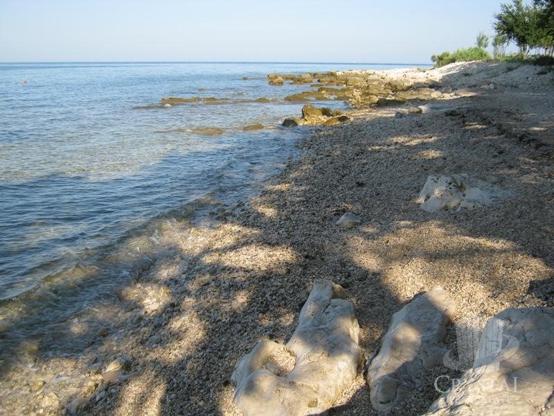 Dům Na prodej - ISTARSKA  UMAG 