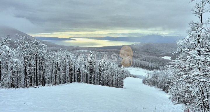 Pozemek na prodej 8715 m² – Čavle