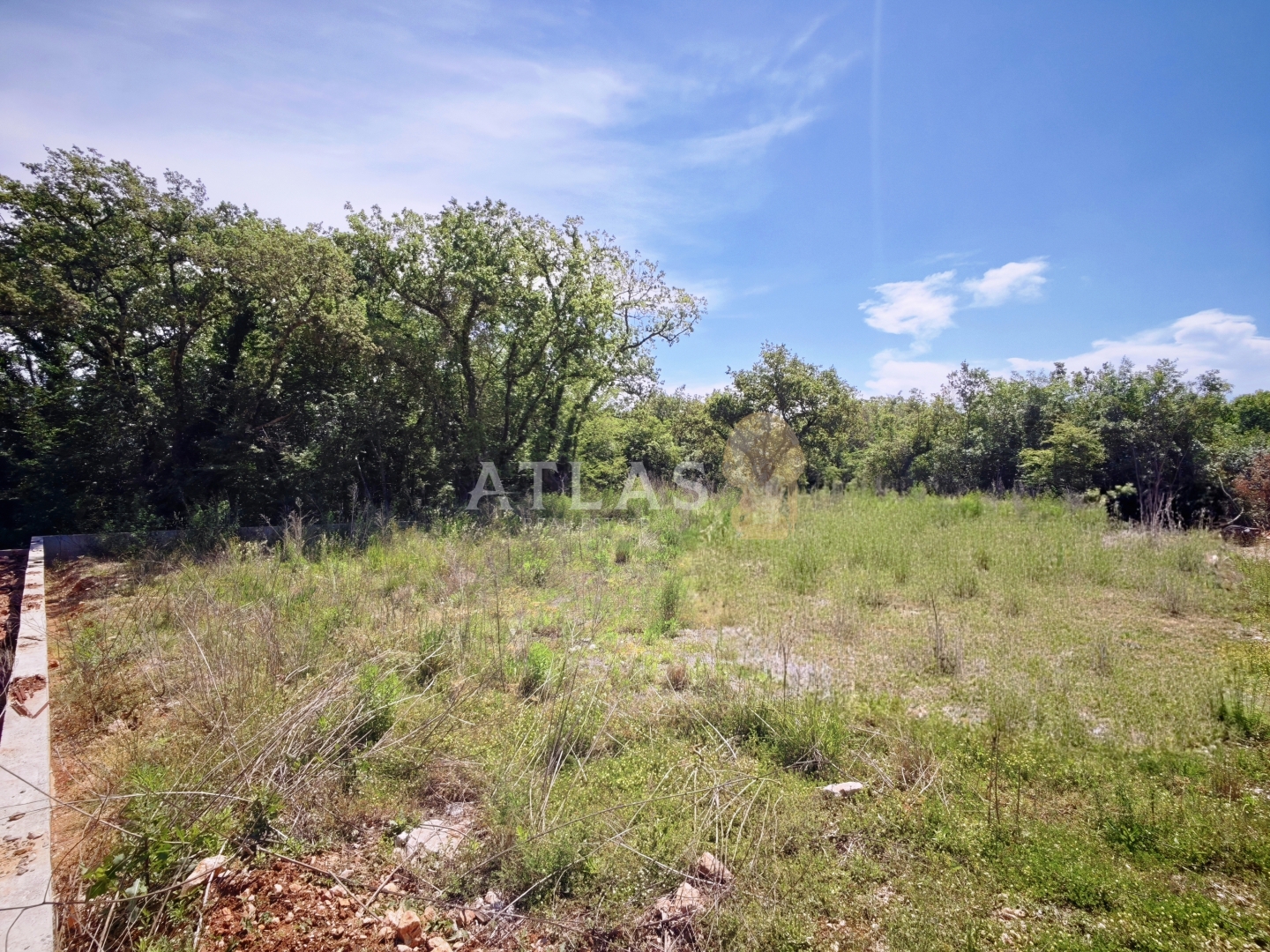 Land For sale - Primorsko-goranska Risika - foto 5/7