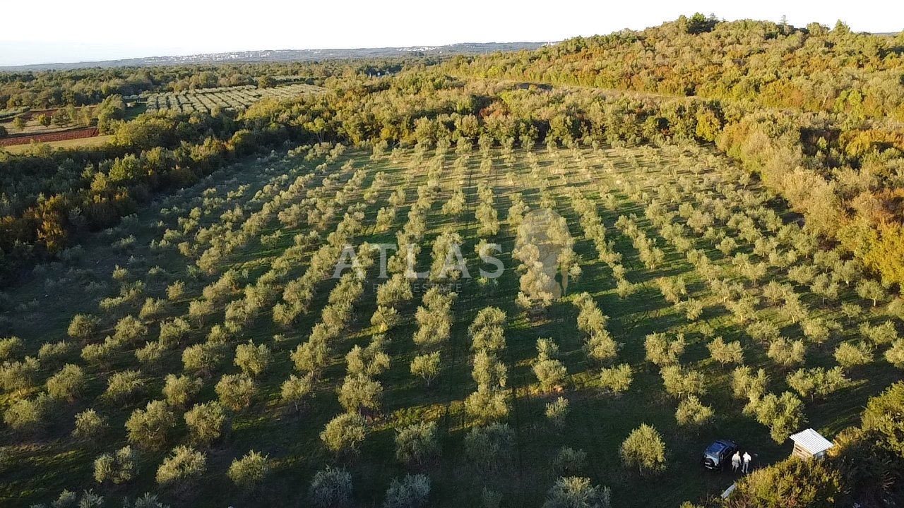 Działka Na sprzedaż - Istarska Pršurići - foto 1/3