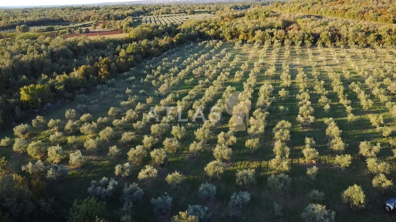 Działka Na sprzedaż - Istarska Pršurići
