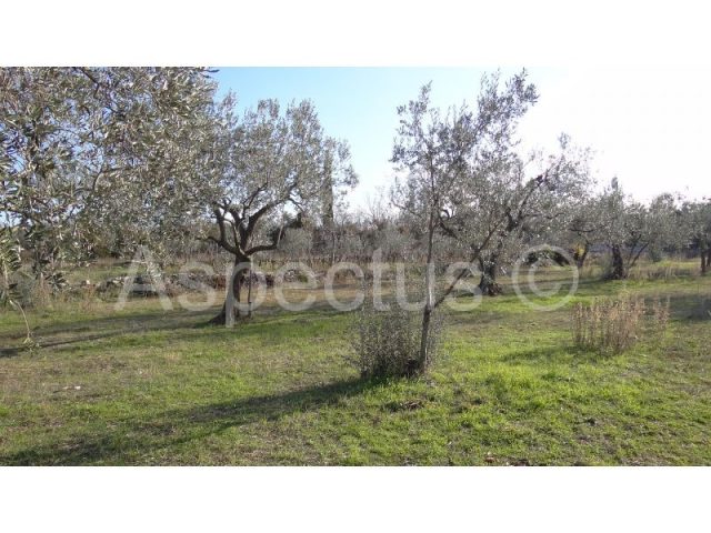 Terrain à vendre 2002 m² – Peroj