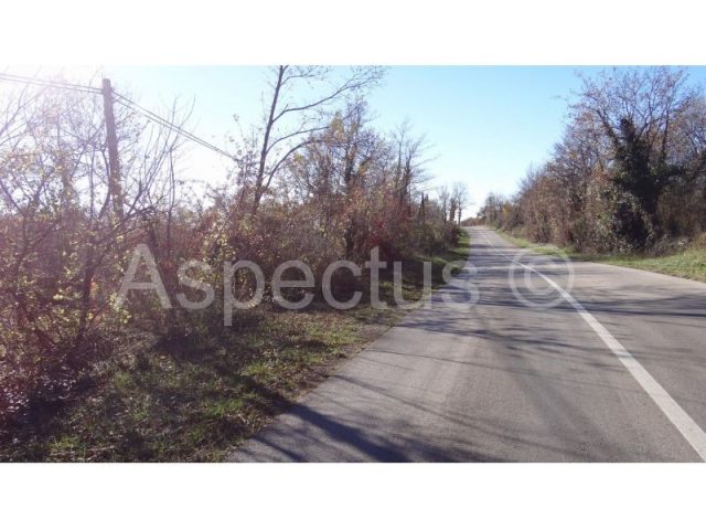 Terreno in vendita 49969 m² – Divšići
