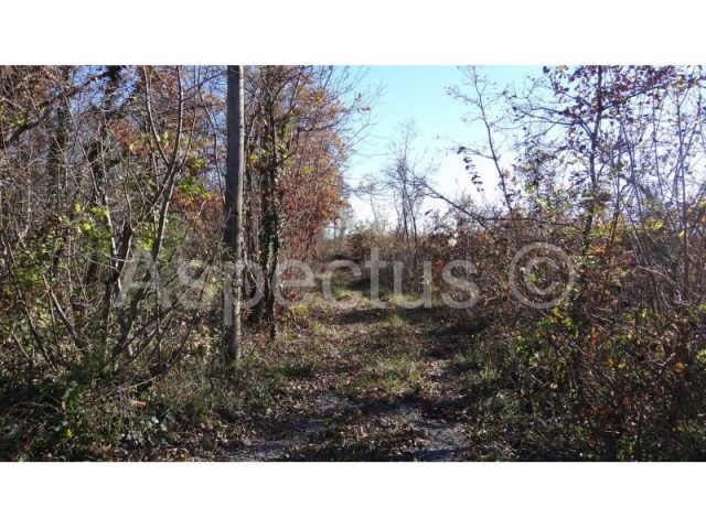 Parcela Naprodaj - Istarska Marčana - foto 2/14