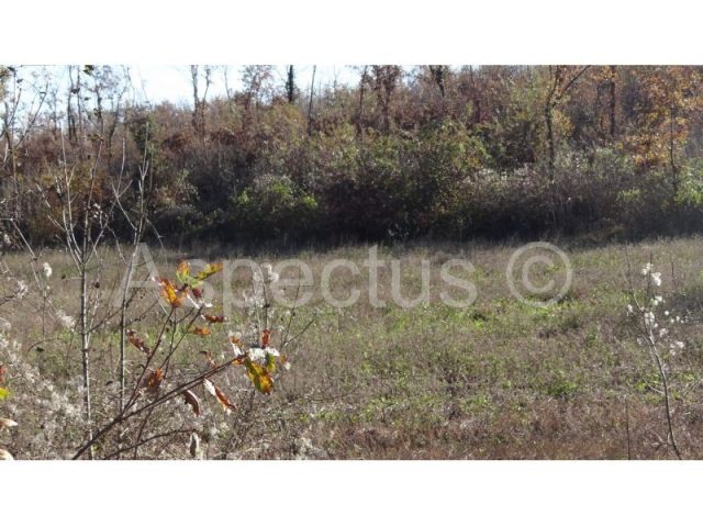 Parcela Naprodaj - Istarska Marčana - foto 5/14