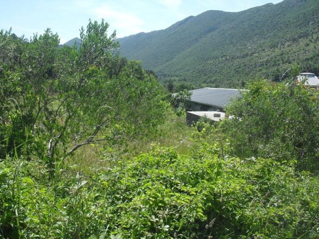 Land For sale - Splitsko-dalmatinska Omiš - foto 2/8