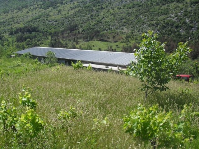 Land For sale - Splitsko-dalmatinska Omiš - foto 3/8