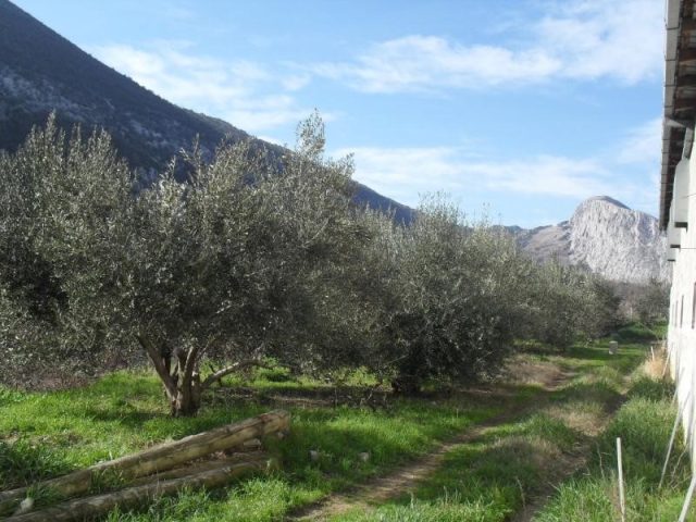 Land For sale - Splitsko-dalmatinska Omiš - foto 4/8
