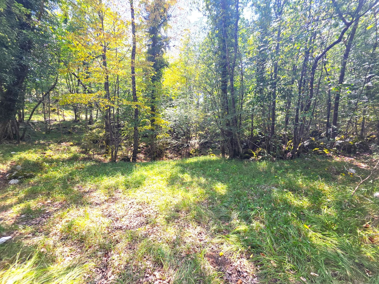 Terrain À vendre - Primorsko-goranska Mučići - foto 5/8