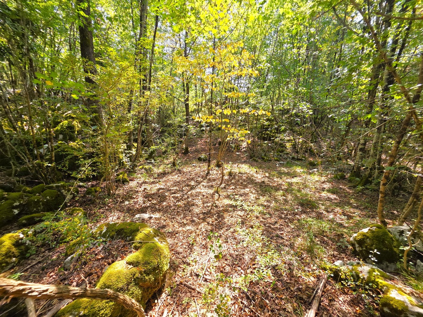 Terrain À vendre - Primorsko-goranska Mučići