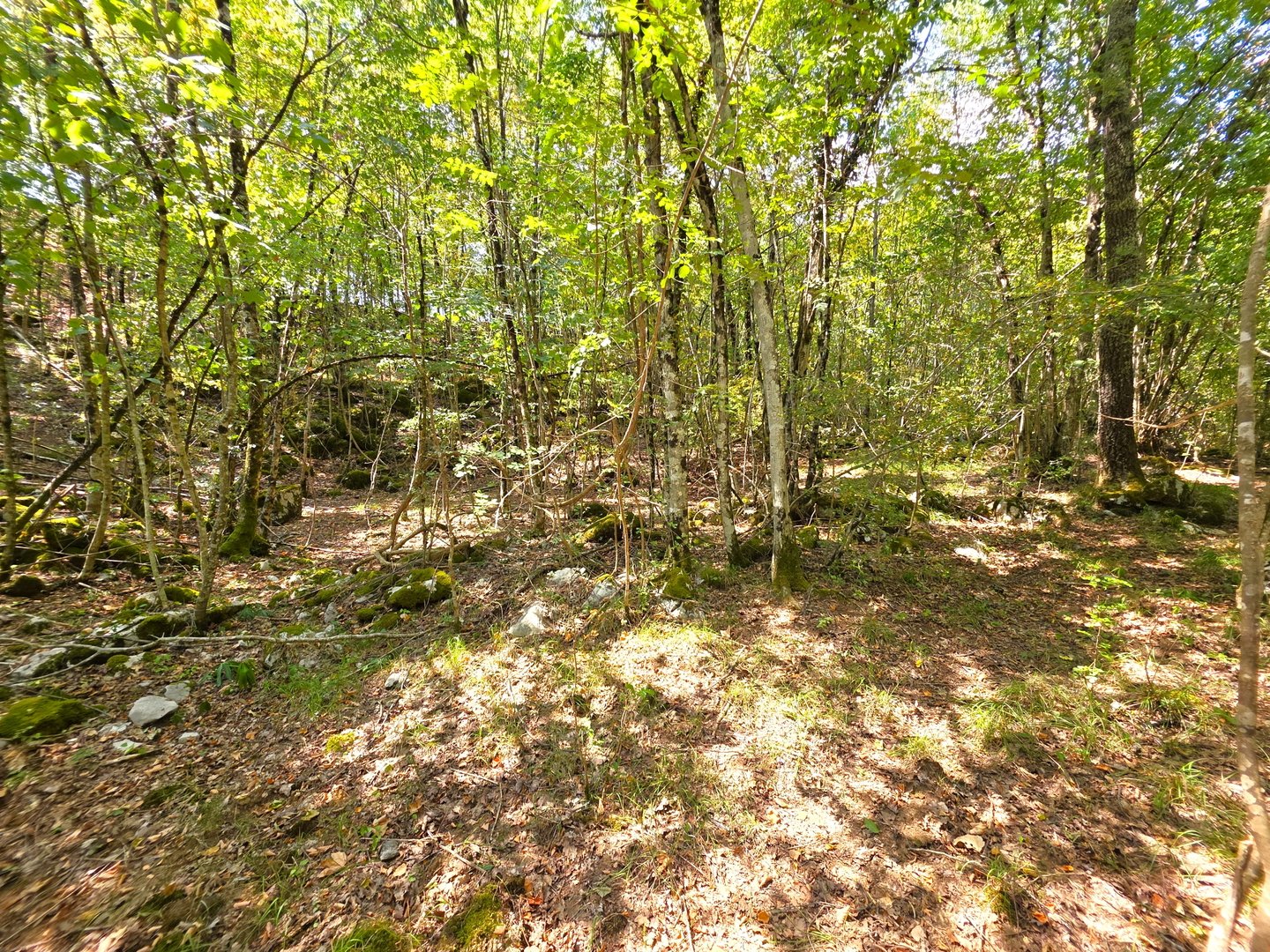 Terrain À vendre - Primorsko-goranska Mučići