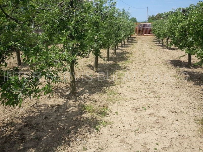 Dom Na sprzedaż - VUKOVARSKO-SRIJEMSKA  VUKOVAR 