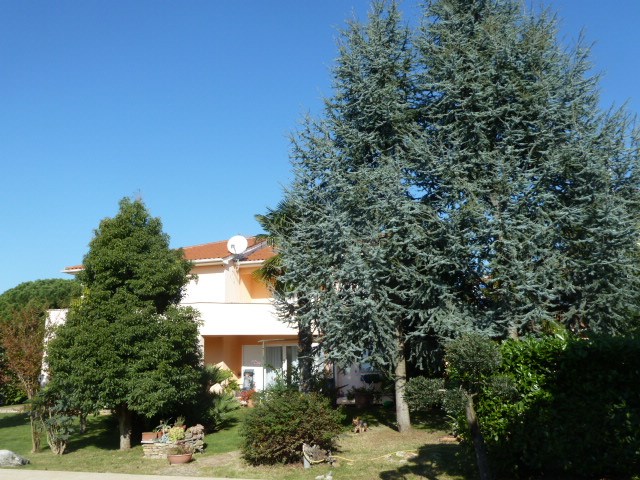 Maison À vendre - ISTARSKA  FAŽANA 